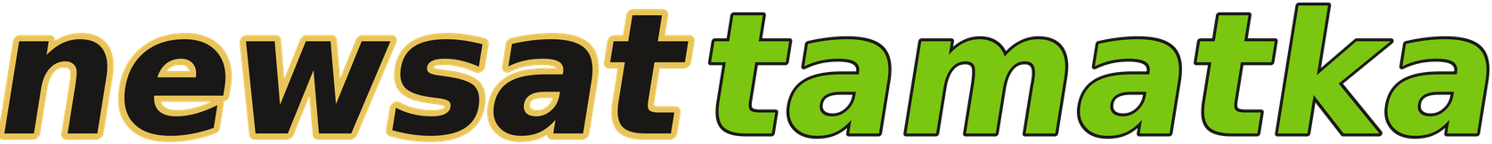 newsattamatka logo